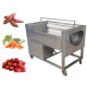 Fruit and Vegetable Washer (0)