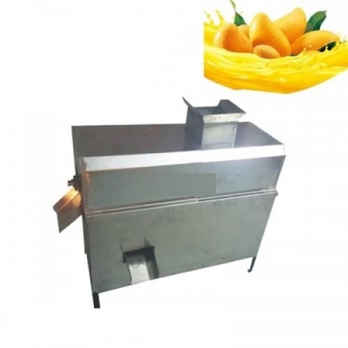 Mango Pulp Machine Big